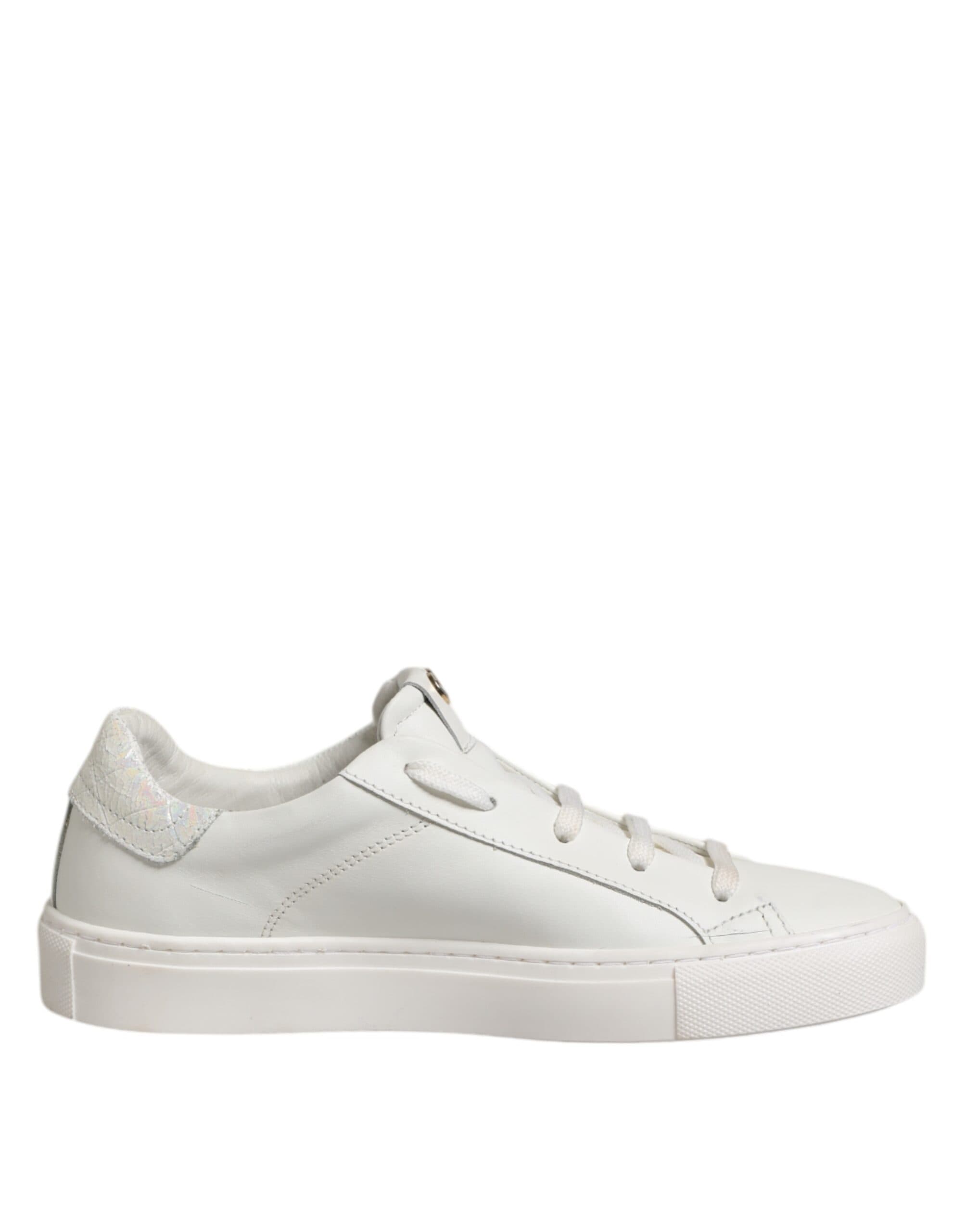 Low Top Lace Up Sneakers